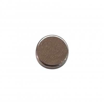 EARTH MAGNETS
