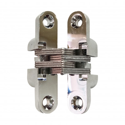 CONCEALED HINGE